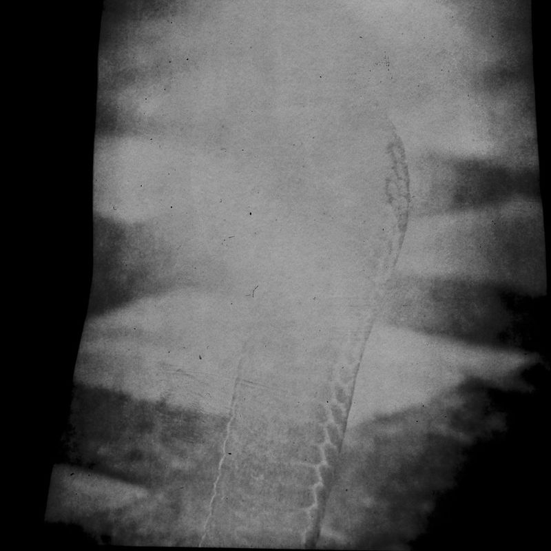 © Karen Miranda-Rivadeneira - Image from the Nantar Arutam photography project