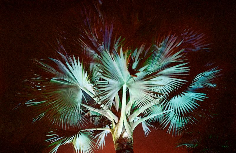 © Karen Miranda-Rivadeneira - Image from the Nantar Arutam photography project