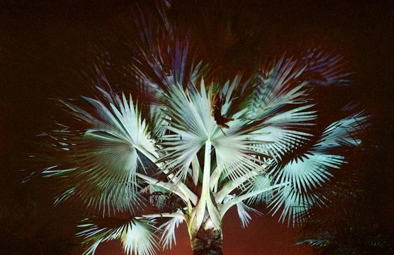 © Karen Miranda-Rivadeneira - Image from the Nantar Arutam photography project