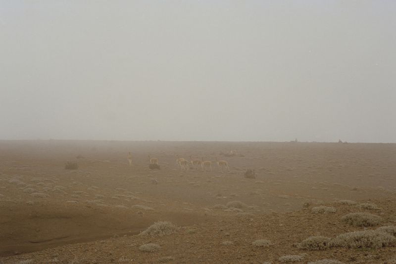 © Karen Miranda-Rivadeneira - Image from the Nantar Arutam photography project