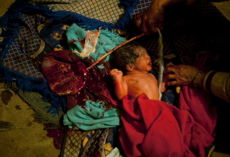 © Karen Miranda-Rivadeneira - new life