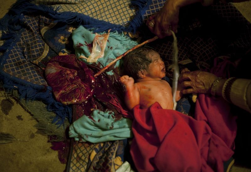 © Karen Miranda-Rivadeneira - new life