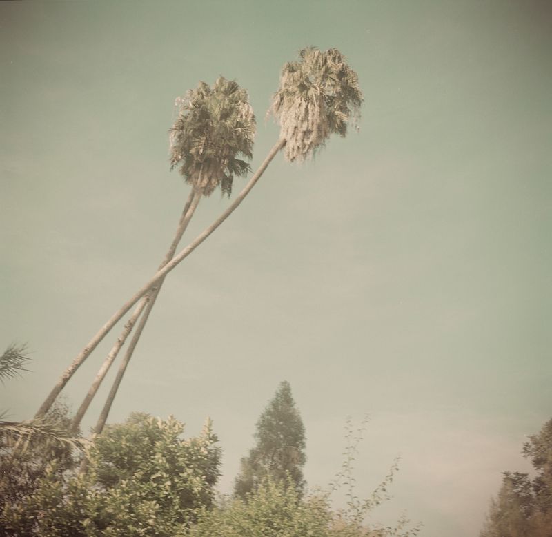 © Karen Miranda-Rivadeneira - Image from the Umo photography project