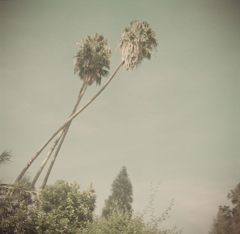 © Karen Miranda-Rivadeneira - Image from the Umo photography project