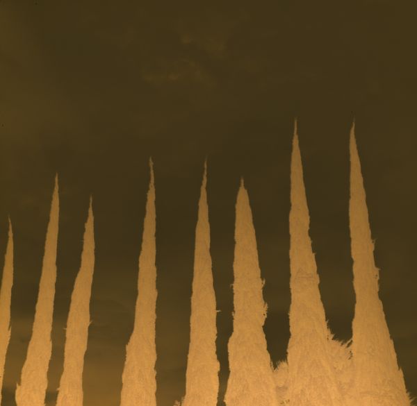 © Karen Miranda-Rivadeneira - Image from the Umo photography project