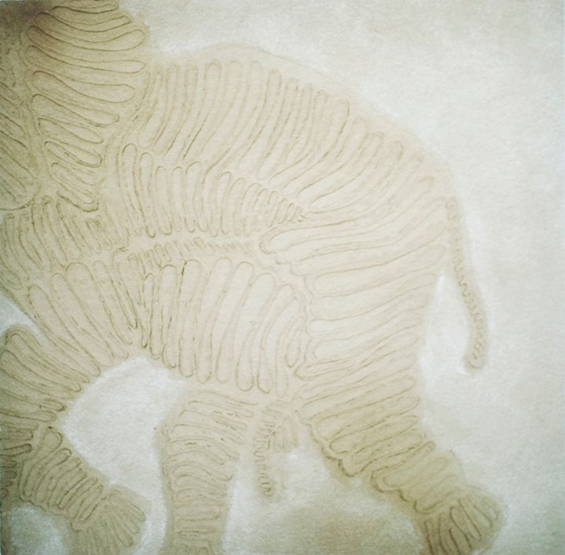 © Karen Miranda-Rivadeneira - Image from the Umo photography project