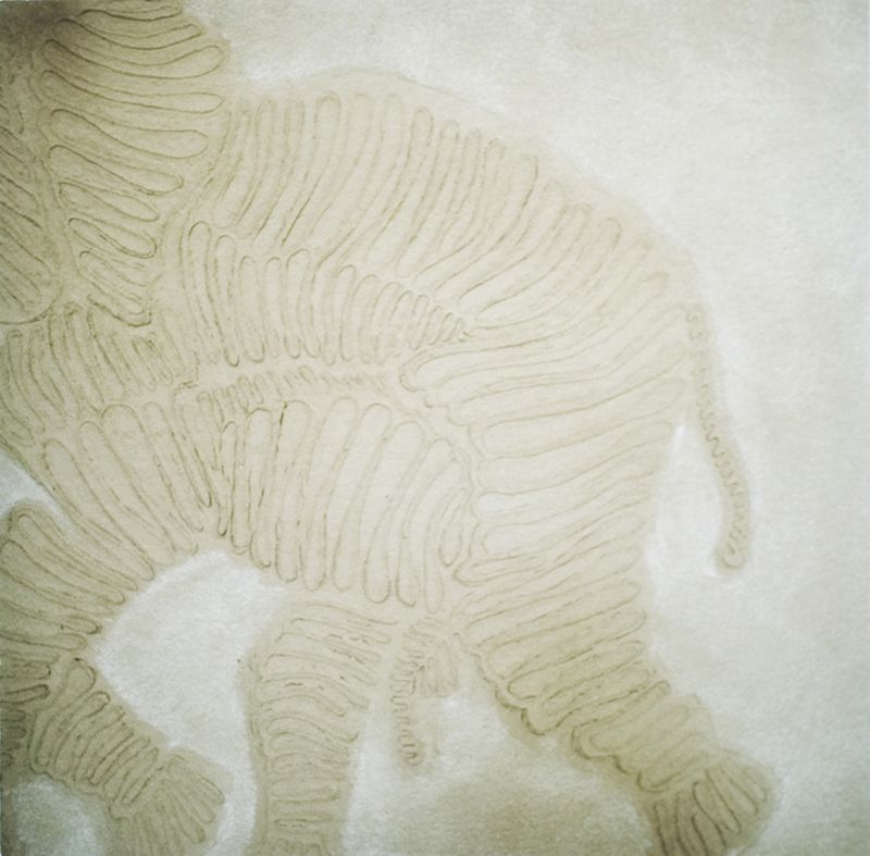 © Karen Miranda-Rivadeneira - Image from the Umo photography project