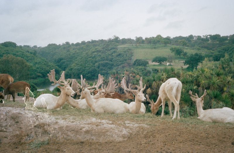 © Karen Miranda-Rivadeneira - Image from the Umo photography project