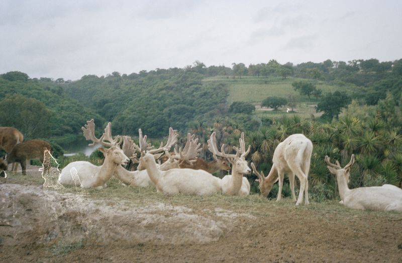 © Karen Miranda-Rivadeneira - Image from the Umo photography project