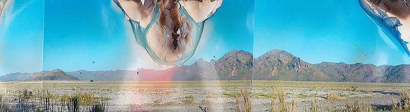 © Ryan Mitchell - Landscapes 2, 4x12, Collage
