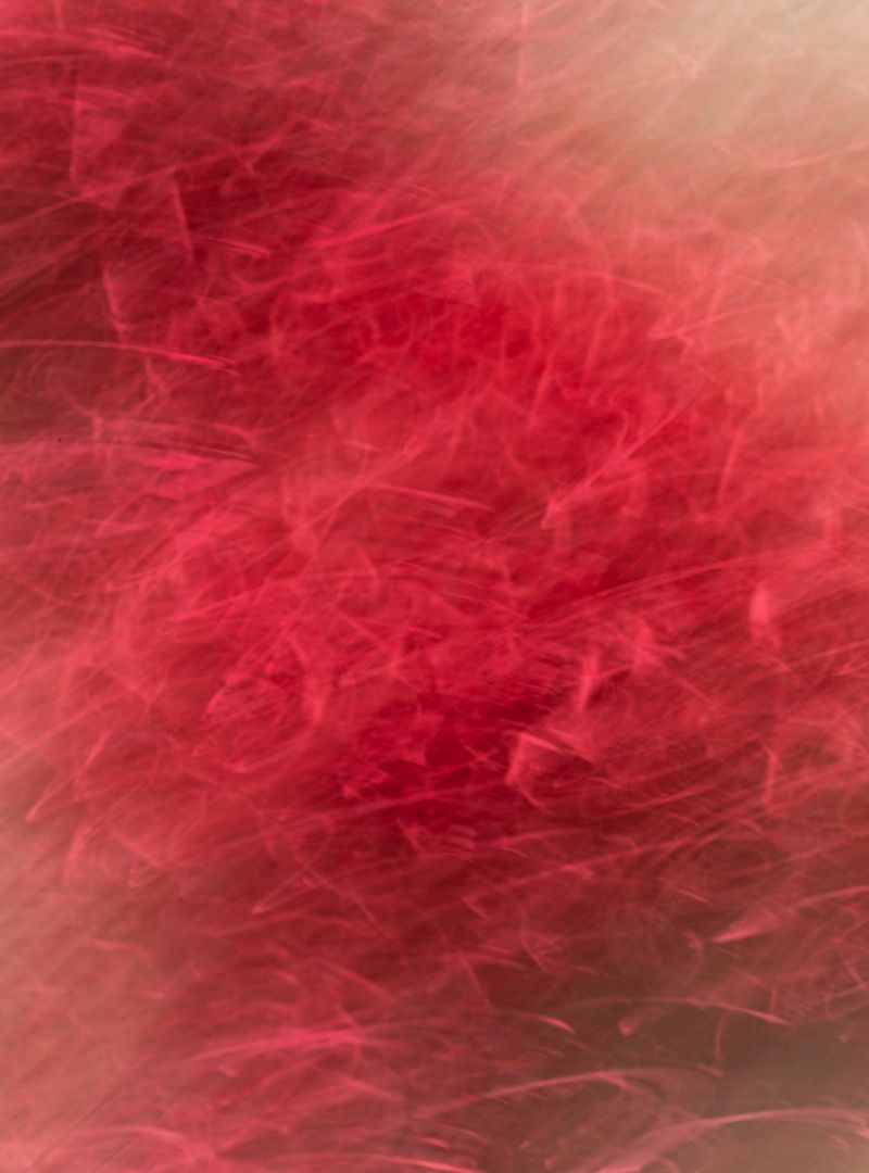 © Aude Mayer - Image from the Le bruit que nous faisons assis là, sans qu'aucun de nous ne bouge photography project