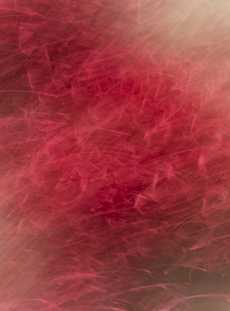 © Aude Mayer - Image from the Le bruit que nous faisons assis là, sans qu'aucun de nous ne bouge photography project