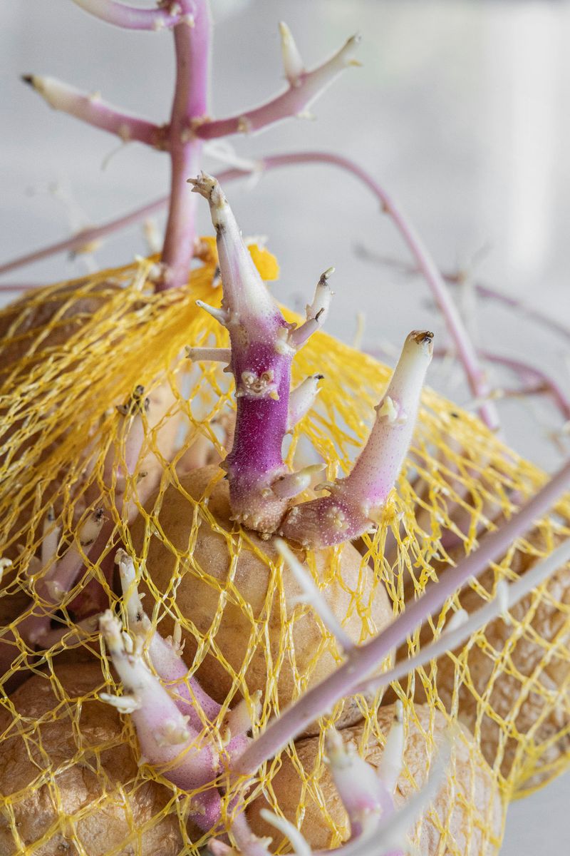 © Aude Mayer - Image from the J’ai dû avaler trop de gouttes de pluie photography project