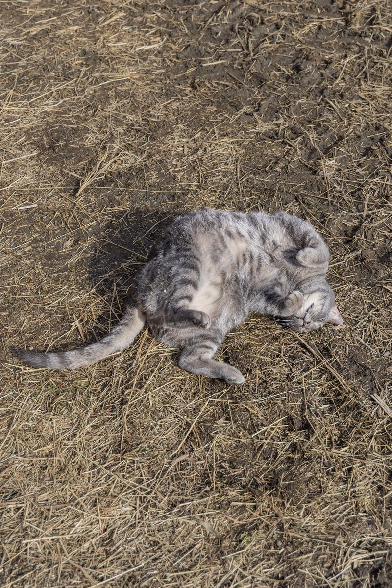 © Aude Mayer - Image from the J’ai dû avaler trop de gouttes de pluie photography project