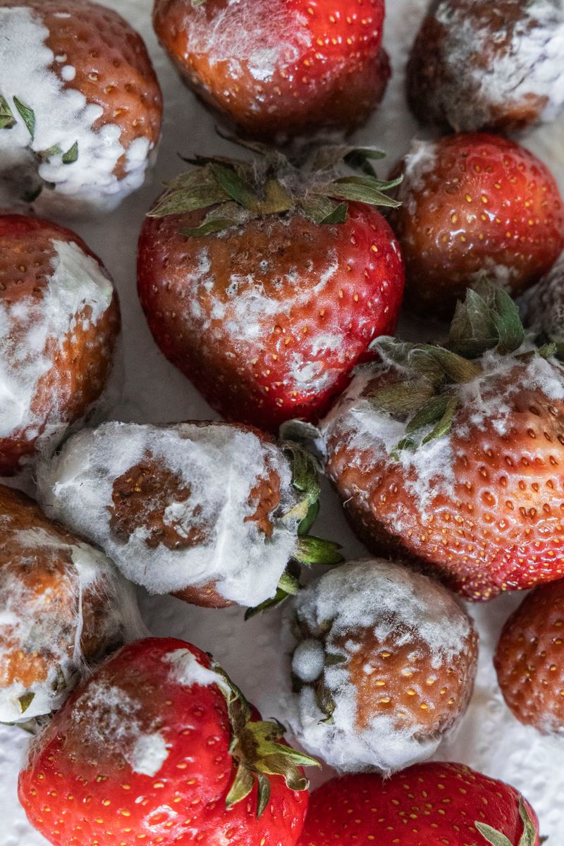 © Aude Mayer - Image from the J’ai dû avaler trop de gouttes de pluie photography project