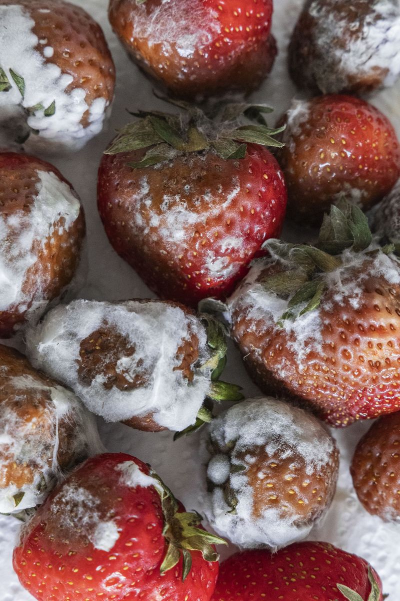 © Aude Mayer - Image from the J’ai dû avaler trop de gouttes de pluie photography project