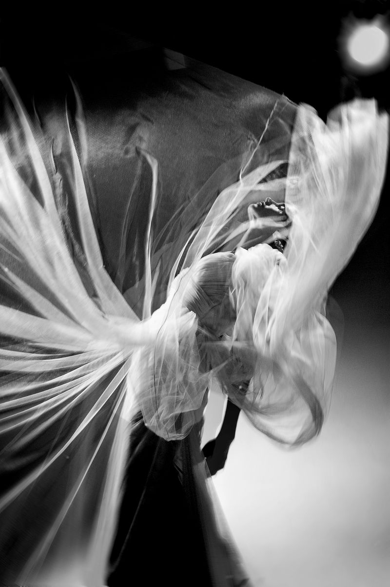 © photobykato - The Flower of Angels