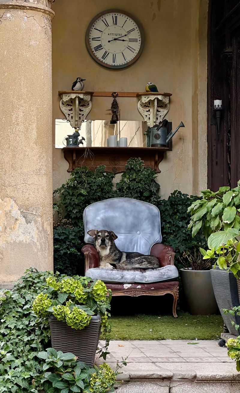 © photobykato - The Old Gentleman