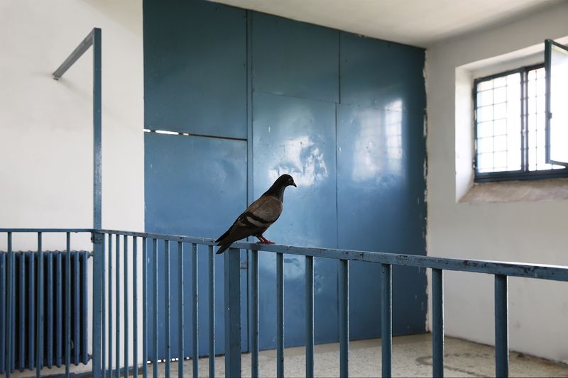 © Francesca Pompei - Image from the The women of Rebibbia. Walls of stories photography project