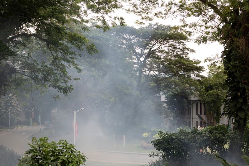© Francesca Pompei - Fog enveloping a ruined building, in the deep vegetation of Forest City downtown.