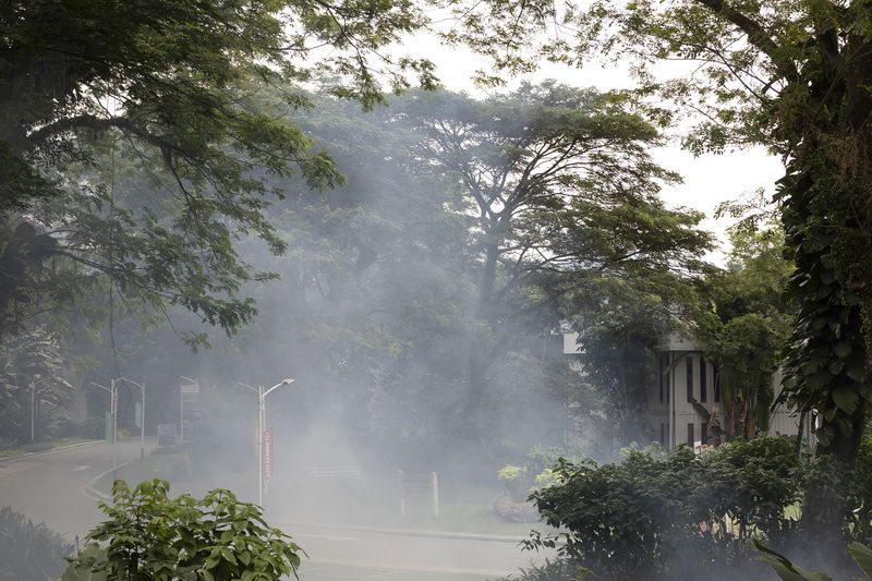 © Francesca Pompei - Fog enveloping a ruined building, in the deep vegetation of Forest City downtown.