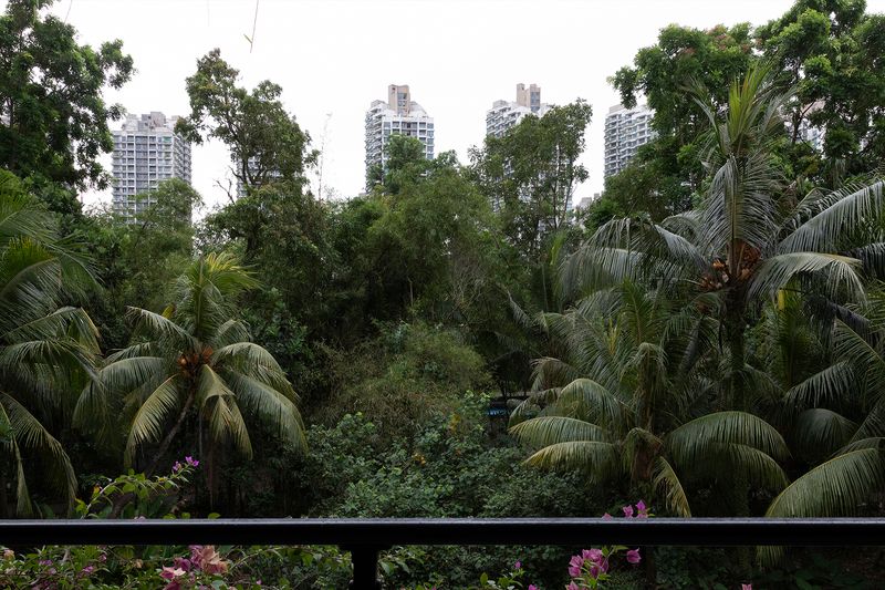 © Francesca Pompei - A view of the luxuriant landscape downtown.