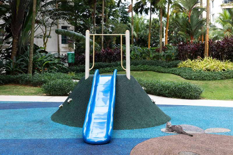 © Francesca Pompei - A cat relaxing in the garden of a playground in the yard of a building.