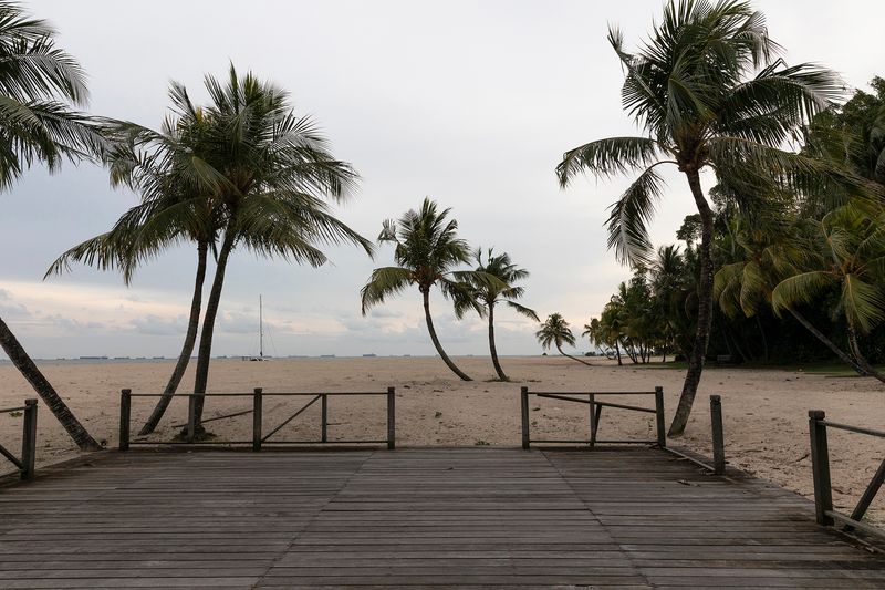 © Francesca Pompei - Image from the Forest City. The most expensive ghost town of the world photography project