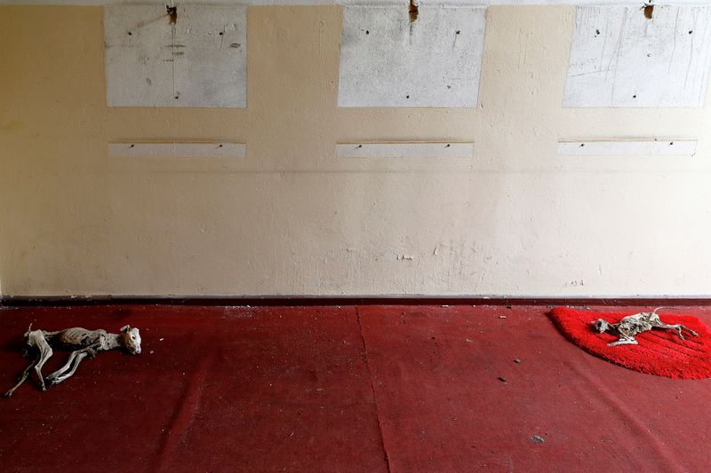 © Francesca Pompei - The Forbidden City 10