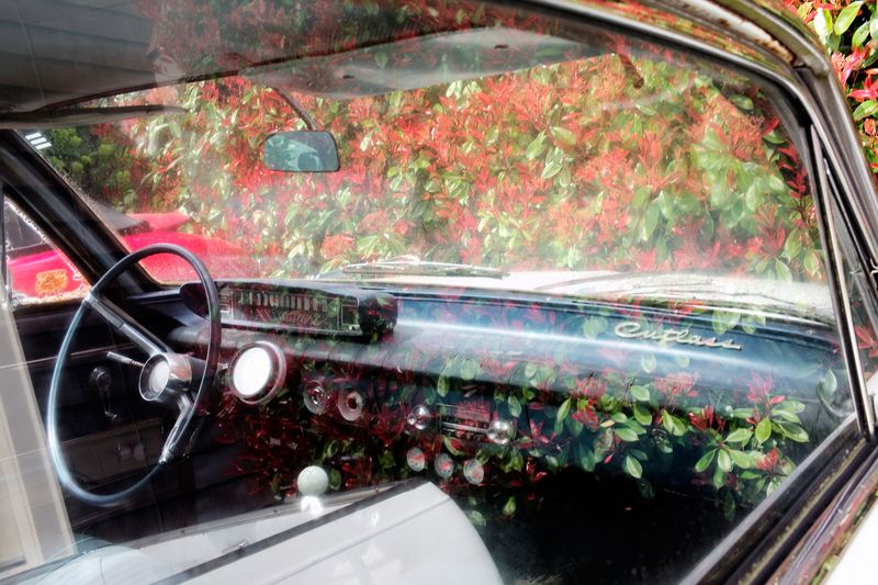 © Scarlett Coten - Seattle WA 2017