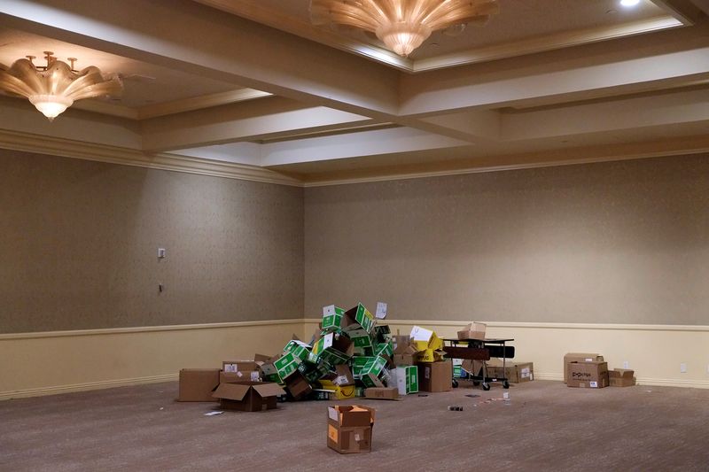 © Scarlett Coten - Los Angeles CA 2017