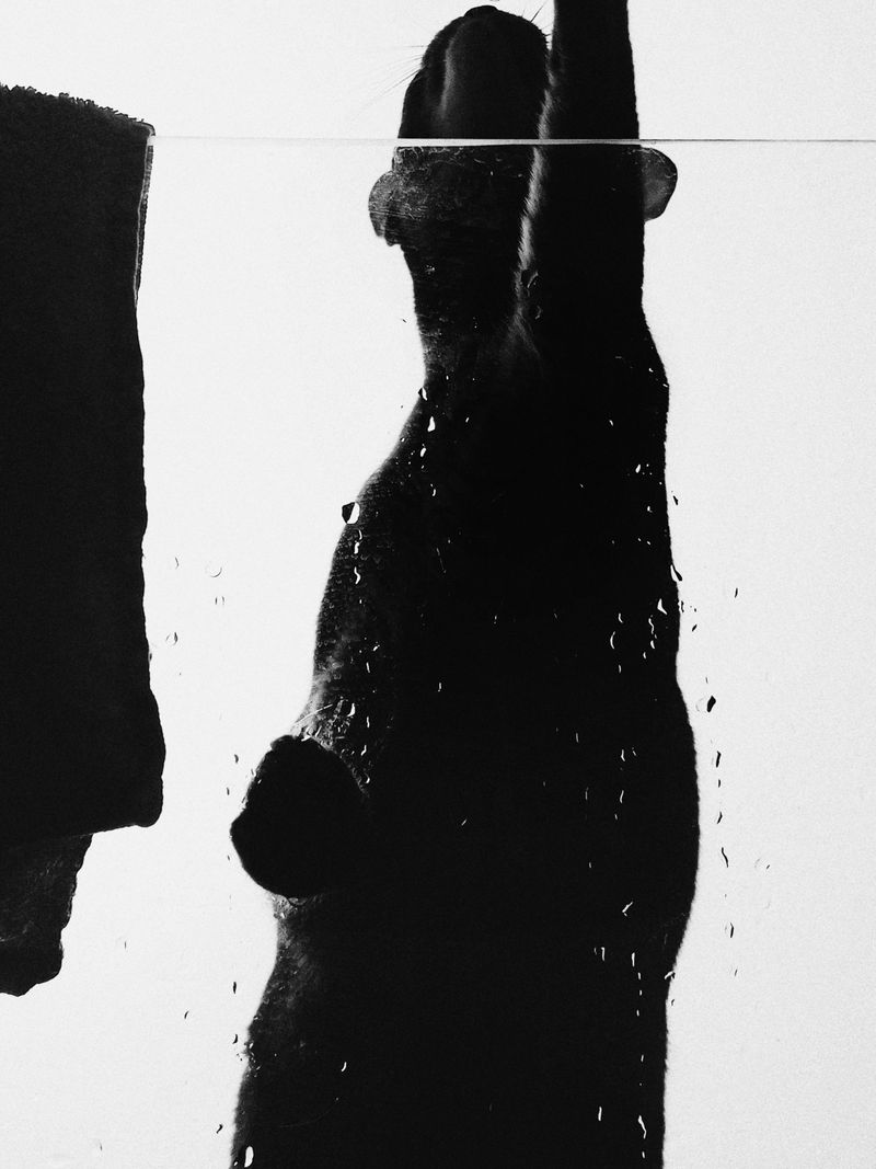 © Настя и кошачьи истории - Image from the A date with oneself photography project