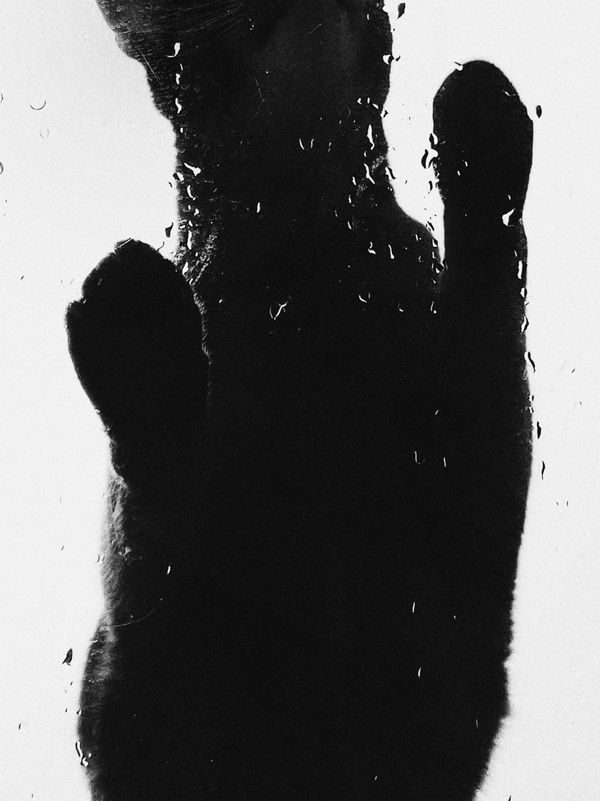 © Настя и кошачьи истории - Image from the A date with oneself photography project