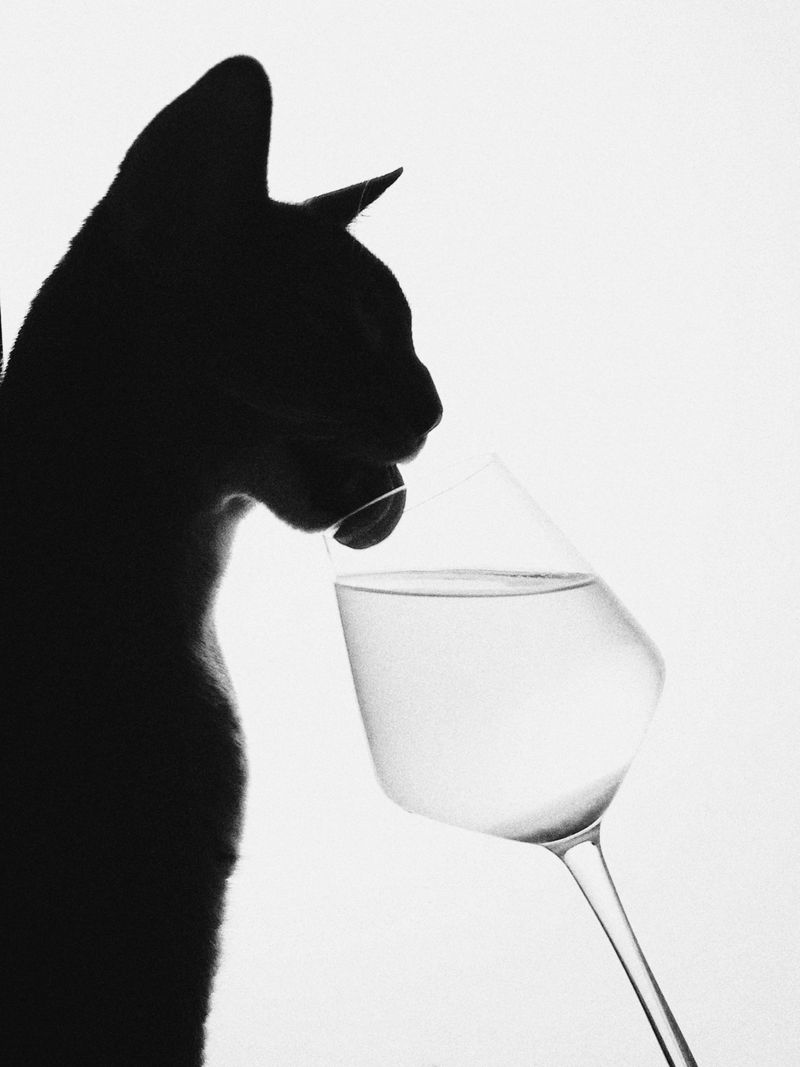 © Настя и кошачьи истории - Image from the A date with oneself photography project