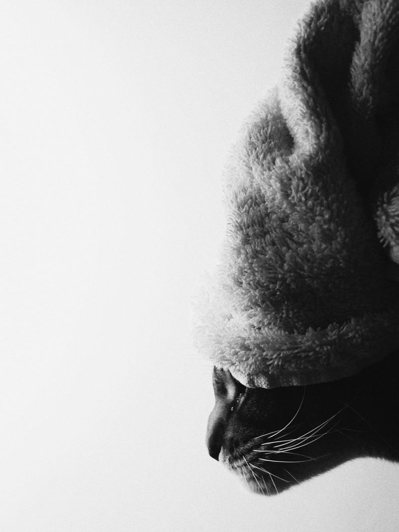 © Настя и кошачьи истории - Image from the A date with oneself photography project