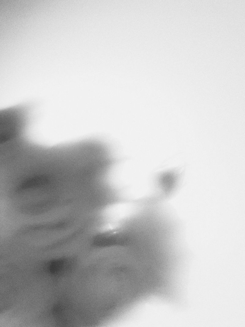 © Настя и кошачьи истории - Image from the A date with oneself photography project