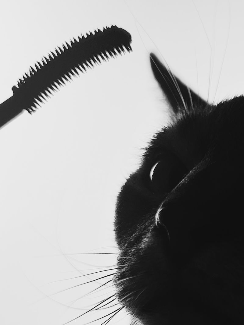 © Настя и кошачьи истории - Image from the A date with oneself photography project