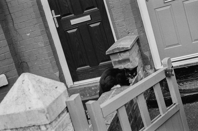 © Francesco Quarato - Image from the Between Walls photography project