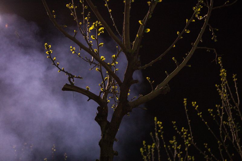 © Atefe Moeini - Image from the ما (we) photography project