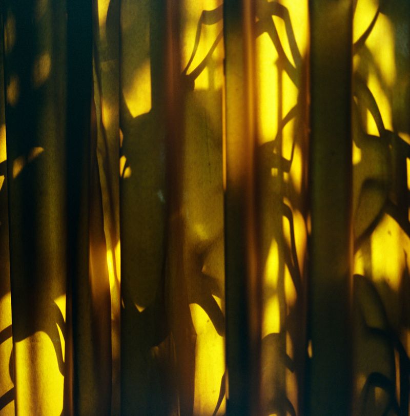 © Su Cassiano - Image from the The Season of Grief photography project