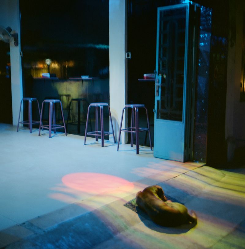© Su Cassiano - Image from the The Season of Grief photography project