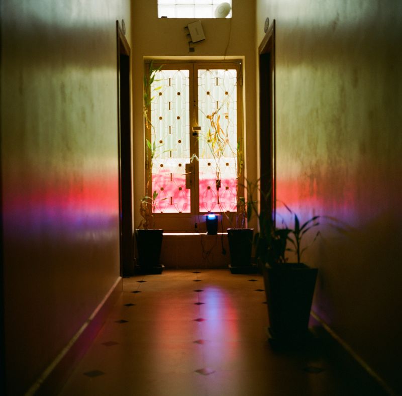 © Su Cassiano - Image from the The Season of Grief photography project