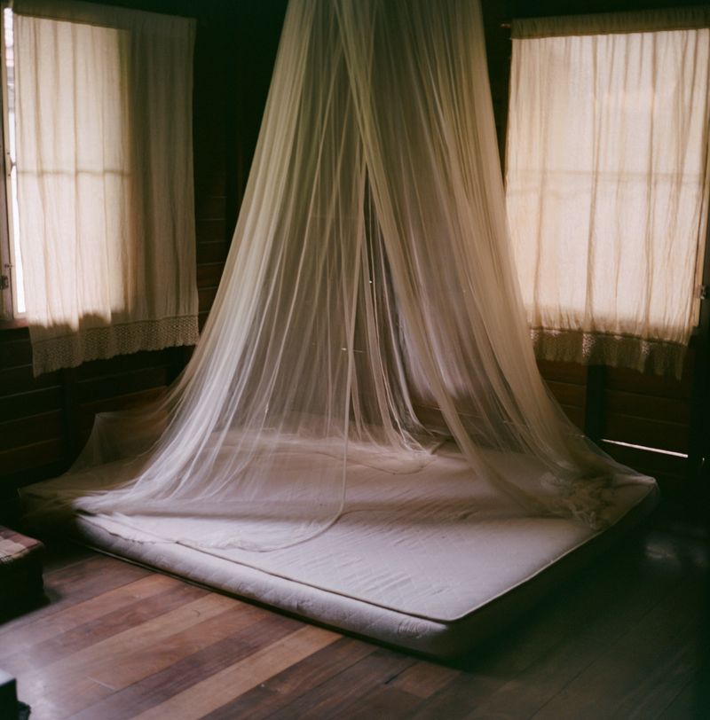 © Su Cassiano - Image from the The Season of Grief photography project