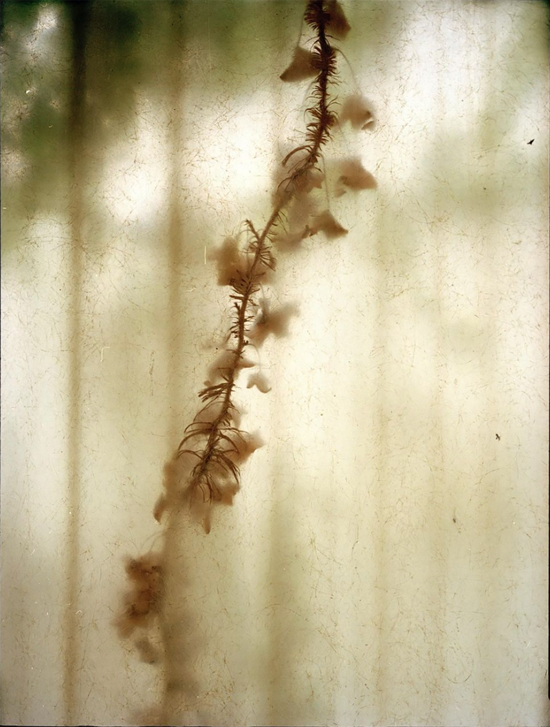 © Giovanni Benvenuto - Image from the Only The Sea Knows photography project