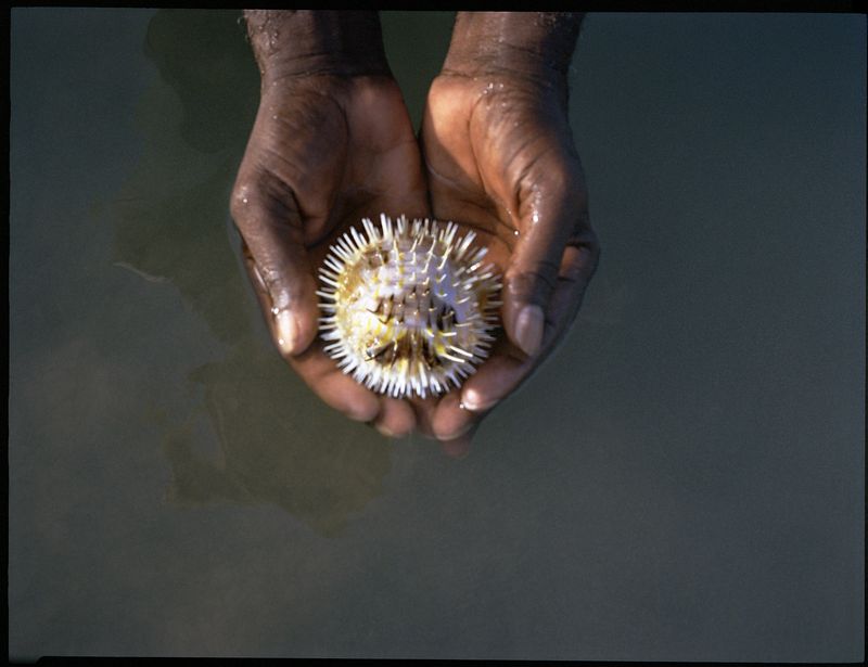 © Giovanni Benvenuto - Image from the Only The Sea Knows photography project