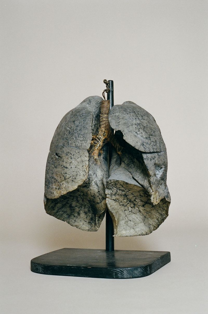 © Jakub Stanek - Image from the In Anticipation of the Sun photography project