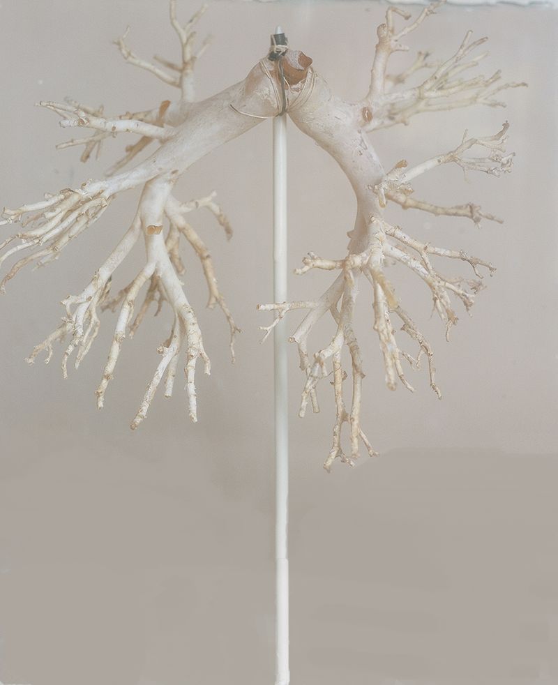 © Jakub Stanek - Image from the In Anticipation of the Sun photography project