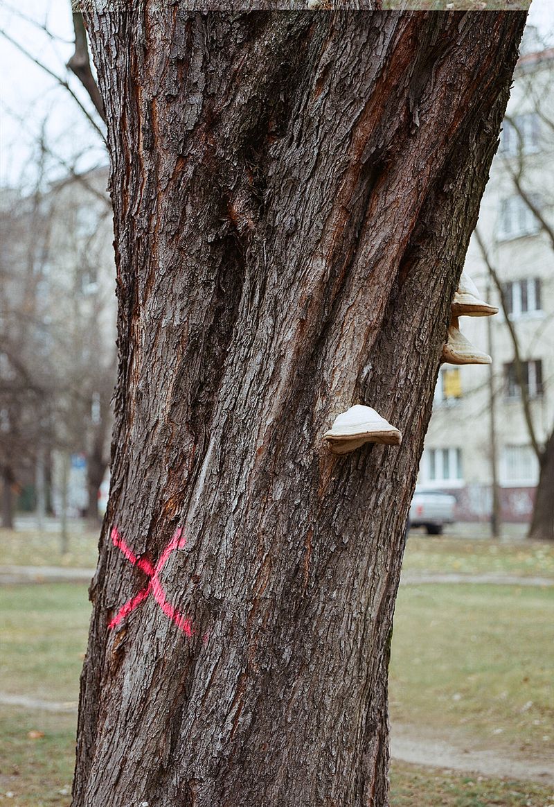 © Jakub Stanek - Image from the THE MAN WITHOUT PAST photography project