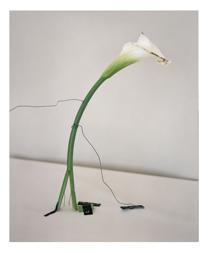 © Jakub Stanek - Image from the IN anticipation of the sun photography project