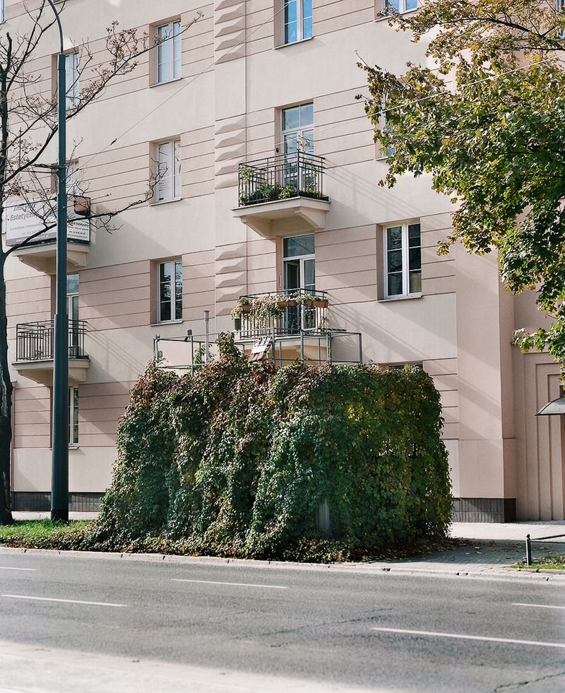 © Jakub Stanek - Image from the IN anticipation of the sun photography project